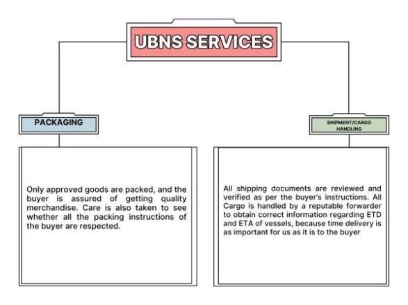UBNS Services 5